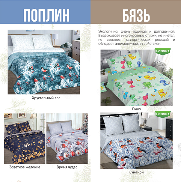 Лифлет_НГ_2024-3.jpg